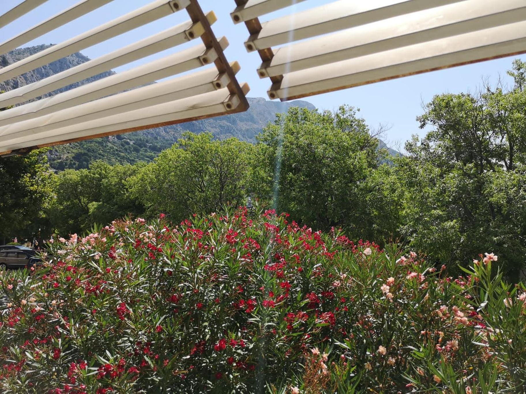Teta Neda Apartman Omiš Kültér fotó